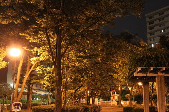 夜の公園.JPG